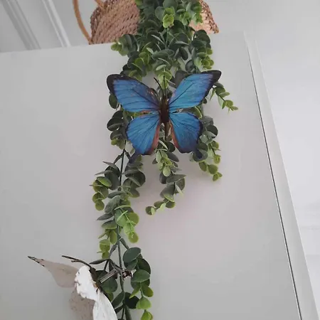 Hoja Cala Apartament